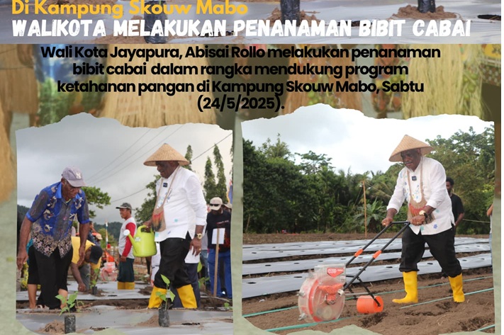 Sukseskan MBG Walikota Jayapura Tebar Bibit Ikan dan Tanam Sayur