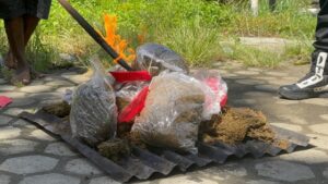 5 Kg ganja yang dimusnahkan