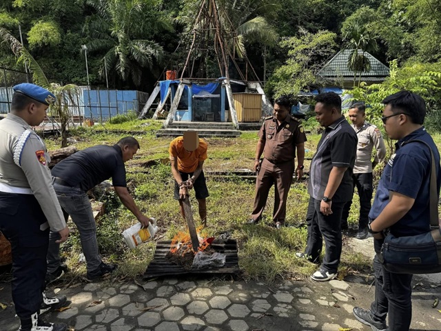 Tersangka Pengedar YW Ikut Saksikan Pemusnahan Ganja Miliknya