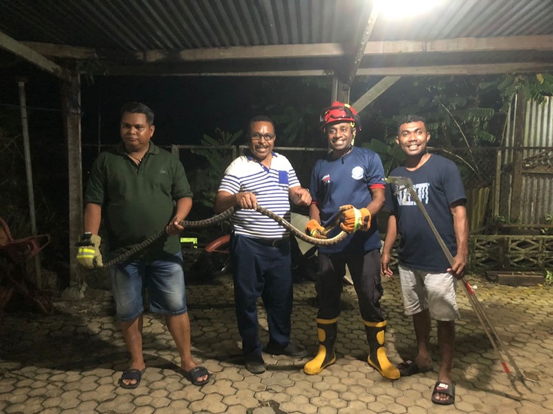 Aksi Rescue Damkar, Evakuasi Ular Piton di Malam Hari
