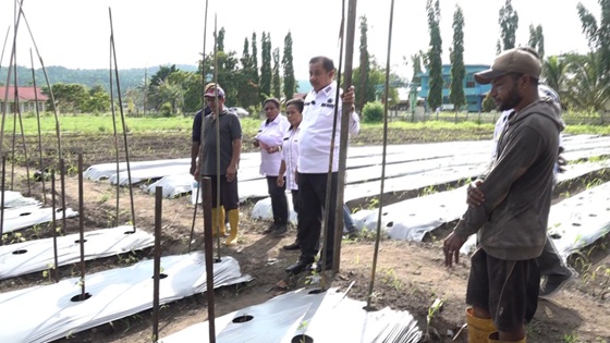 Lokasi Percontohan Budidaya Pertanian dan Perikanan di Kota Jayapura Bisa Jadi Role Model