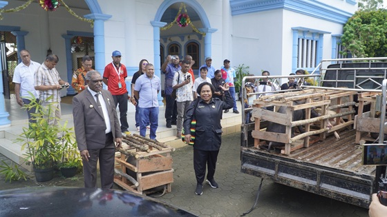 Pemkot Jayapura Serahkan 100 Ekor Babi dan Beras Kepada Gereja Jelang Natal 2025