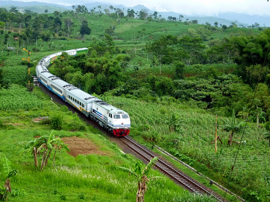 Kereta api Papua