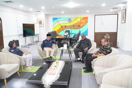 Walikota Jayapura saat temui Kepala BKN RI di Jakarta